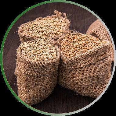 Что такое небулизация зерна