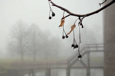 Дождь, туман и потепление. О погоде в Смоленской области на 10 октября