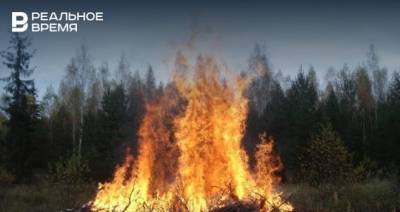 В Татарстане сохраняется высокая пожароопасность лесов