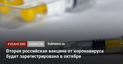 Вторая российская вакцина от коронавируса будет зарегистрирована в октябре