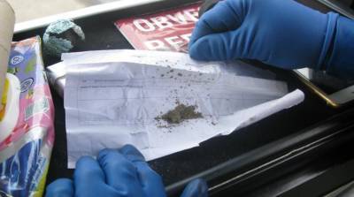 Гомельские таможенники обнаружили марихуану и метамфетамин у украинского дальнобойщика