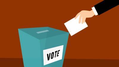 Процедура голосования в США создает условия для подлога голосов