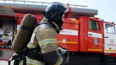 В Пензенской области от природного пожара загорелись четыре жилых дома