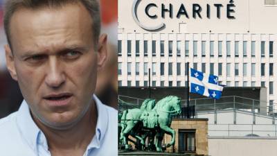 Немецкий политик поинтересовался, кто платит за Навального
