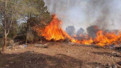 Крупные пожары в Израиле: ЦАХАЛ помогает эвакуировать сотни человек