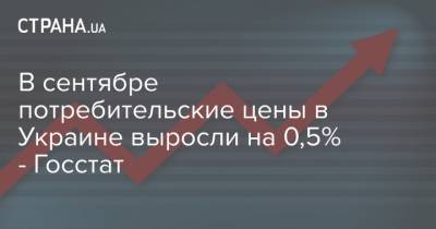 В сентябре потребительские цены в Украине выросли на 0,5% - Госстат