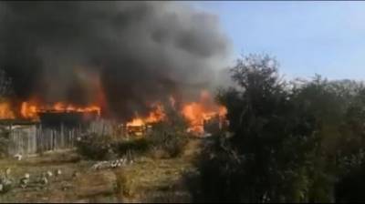 В Сердобске от горящей травы вспыхнули жилые дома и постройки
