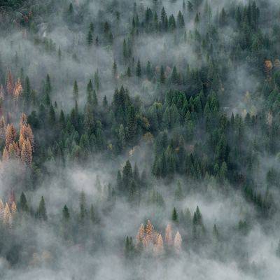 В Саратовской области горит лес