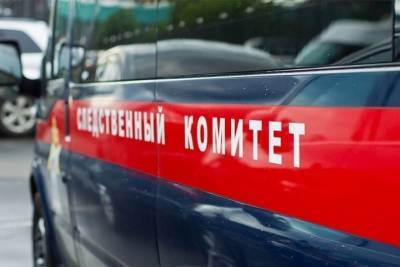 СУ СК: жительница Новороссийска задушила проводом сожителя за причиненную обиду