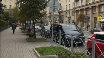 Рядом с площадью Шевченко в Петербурге высадят каштаны
