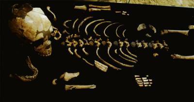 Неандертальцы унаследовали, а не развили свои тела