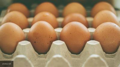 Роскачество объяснило значение надписей "био" и "эко" на упаковке яиц