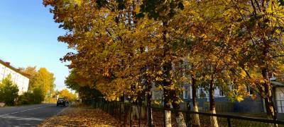 Золотая осень в субботу продолжит радовать теплом жителей Карелии