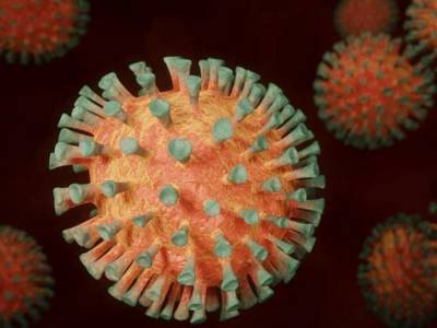 Треть населения мира может болеть коронавирусом повторно два и три раза - иммунолог