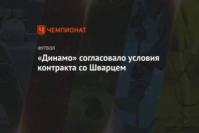 «Динамо» согласовало условия контракта со Шварцем