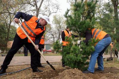 Ставропольский губернатор высадил деревья в сельском сквере