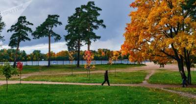 Дождливо и прохладно: синоптики обещают Латвии осеннюю погоду