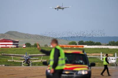Росавиация открывает международные рейсы из Грозного