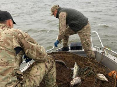 В Черкасской области задержали браконьера с огромным уловом рыбы