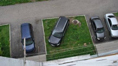 В России предложили увеличить штраф за парковку на газоне