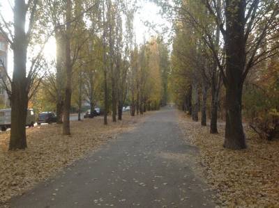 В Ульяновске началось благоустройство аллеи на бульваре Киевском