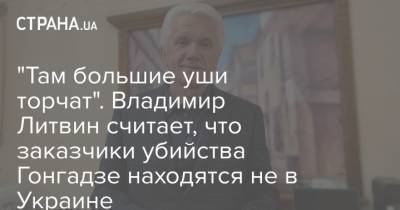 "Там большие уши торчат". Владимир Литвин считает, что заказчики убийства Гонгадзе находятся не в Украине