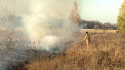 В Нечаевке в нескольких местах одновременно загорелась трава