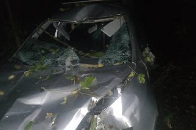 Под Винницей дерево убило водителя легковушки и отправило пассажира в больницу: фото разбитого авто