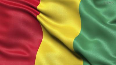 Вероятность цветной революции создает угрозу для спокойных выборов в Гвинее