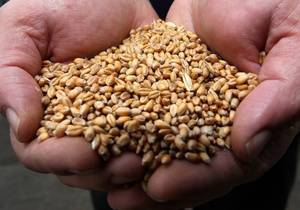 Экономист объяснила, сможет ли РФ потеснить США на мировом рынке зерна