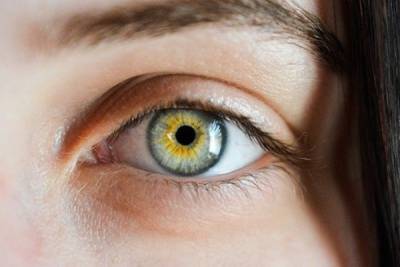 У людей обнаружены гены регенерации глаз
