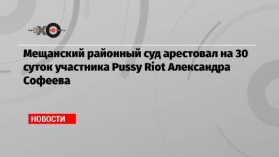 Мещанский районный суд арестовал на 30 суток участника Pussy Riot Александра Софеева
