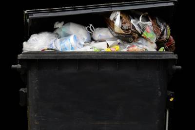 В Вяземском районе двое мужчин утащили мусорный контейнер