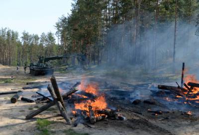 Военные потушили "учебный" пожар в лесу Ленобласти