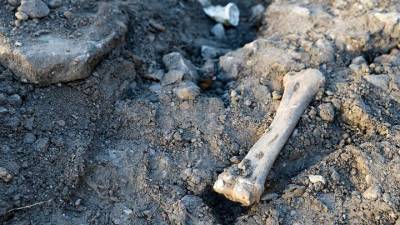 В Калининграде найден склад с человеческими костями
