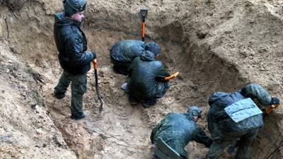 СКР: в Псковской области обнаружены останки 188 человек, убитых фашистами