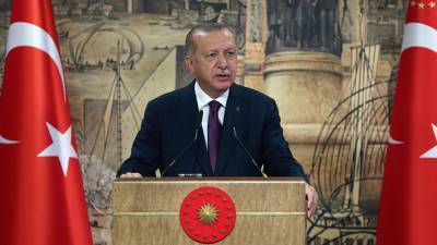 Эрдоган обвинил Россию в нападении на лагерь сирийской оппозиции в Идлибе