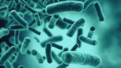 После пандемии устойчивых к антибиотикам бактерий станет больше — ученые