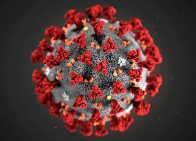 В Ленобласти выявили случаи повторного заражения коронавирусом