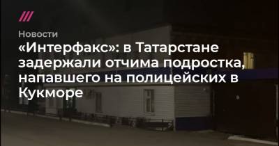 «Интерфакс»: в Татарстане задержали отчима подростка, убитого при нападении на полицию