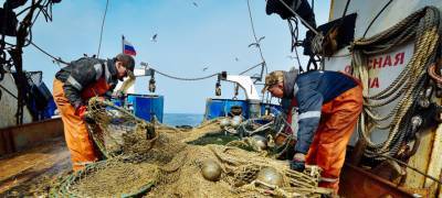 Рыболовные компании Карелии строят 5 новых судов