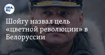 Шойгу назвал цель «цветной революции» в Белоруссии
