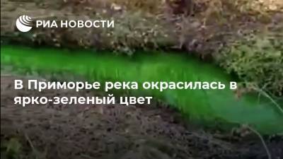В Приморье река окрасилась в ярко-зеленый цвет