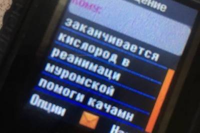 «Заканчивается кислород, помоги»: муж экс-мэра Канска отправил SMS из ковид-госпиталя перед смертью