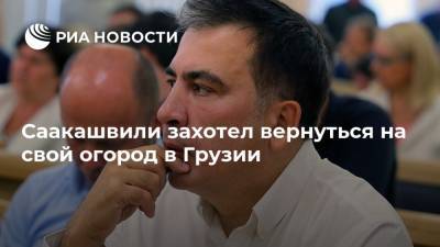 Саакашвили захотел вернуться на свой огород в Грузии