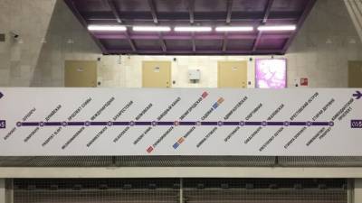 В Смольном выбрали подрядчика для предпроекта продолжения фиолетовой линии метро