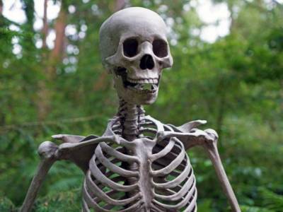 «Вероятно, умерла от диеты»: В Германии обнаружили скелет женщины, которому около 5000 лет