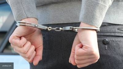 "Накормивший" наркотиками петербургскую школьницу педофил попался полиции