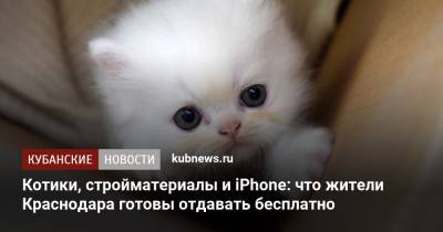 Котики, стройматериалы и iPhone: что жители Краснодара готовы отдавать бесплатно
