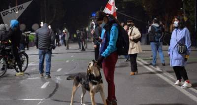 Не обошлось! – участникам "ночи неповиновения" в Тбилиси придется платить штраф